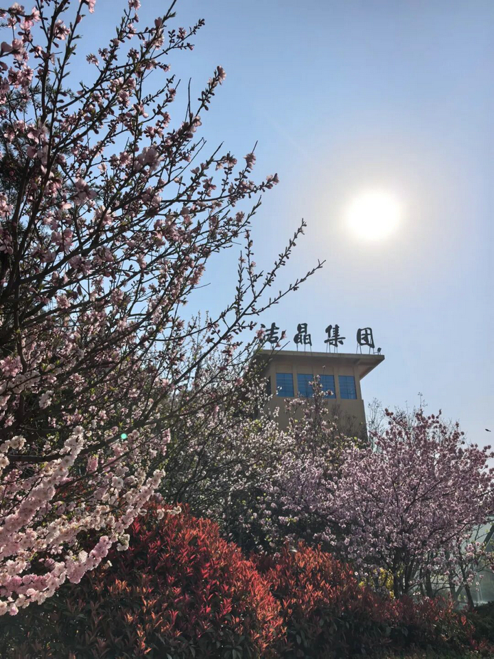 20260407春色滿廠區(qū) “7S”管理添春暉6